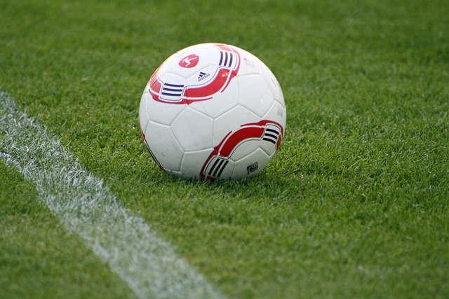 要在密集场 要在密集场