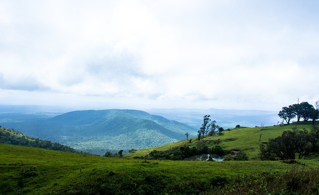 無馬內的世 無馬內的世