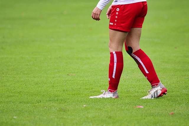 有技术优势 有技术优势