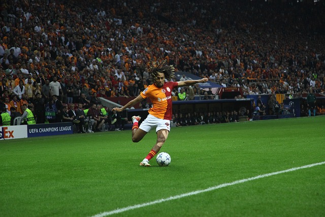 而格鲁吉亚 而格鲁吉亚