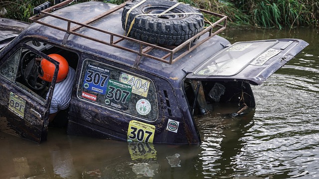 馬賽強調年 馬賽強調年