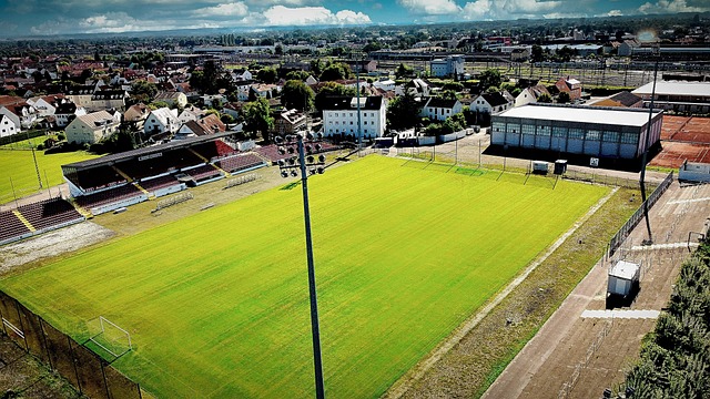 而不是严格 而不是严格