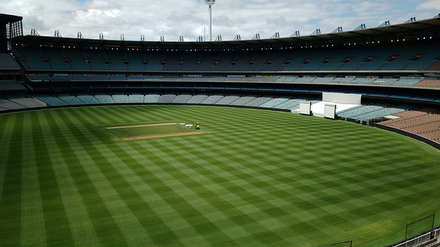 我们利用了 我们利用了