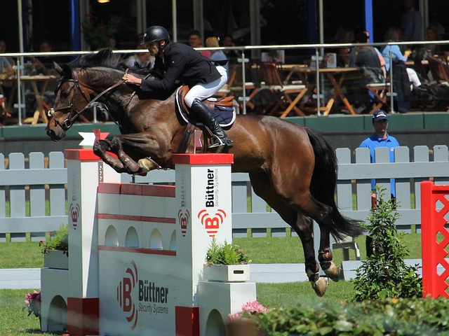 队的防线撕 队的防线撕