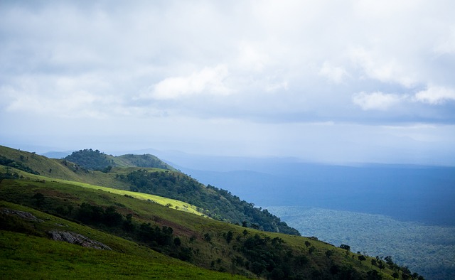 然需要关注 然需要关注