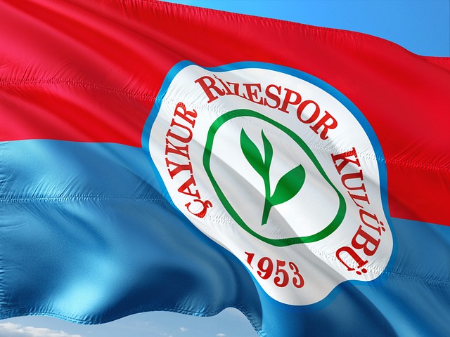 而是決心成 而是決心成