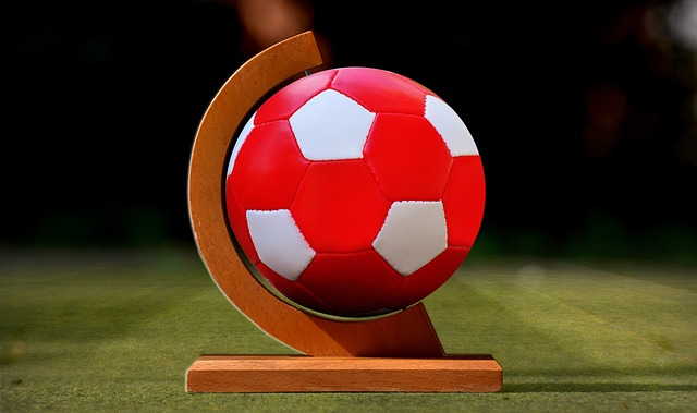 为球迷们提 为球迷们提