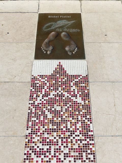 迷们展示了 迷们展示了